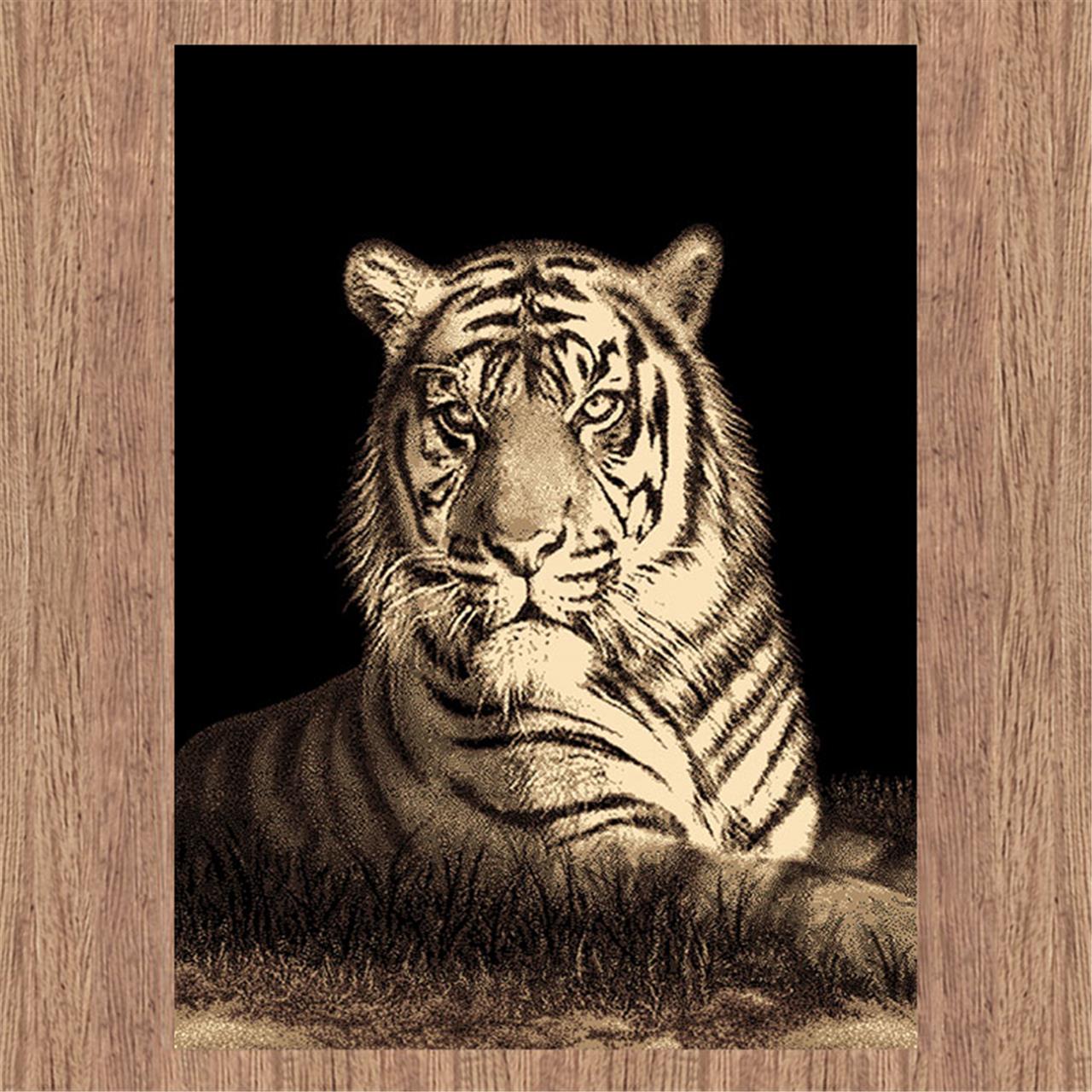 RUBY 6329 TIGER - Image 2